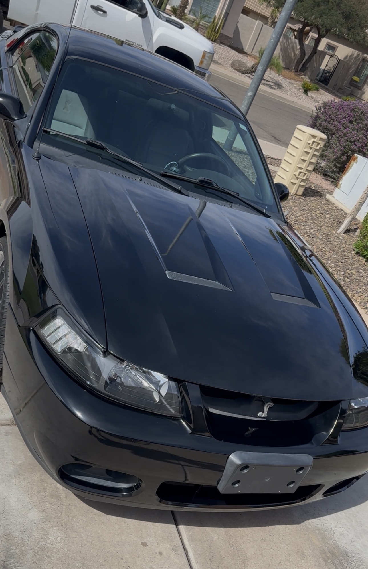 Exterior detail after Beastman detailing